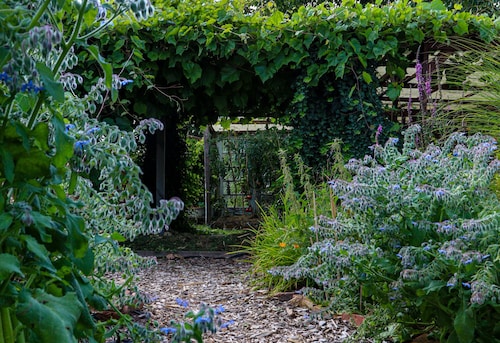 Ferienwohnung 'Yvette's Ferienwohnung' mit Gemeinschaftsgarten und WLAN