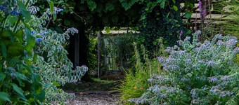 Appartement 'Yvette's Ferienwohnung' avec jardin partagé et Wi-Fi