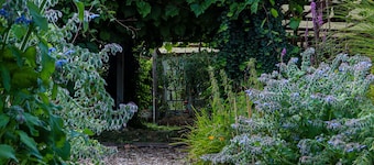 Ferienwohnung 'Yvette's Ferienwohnung' mit Gemeinschaftsgarten und WLAN