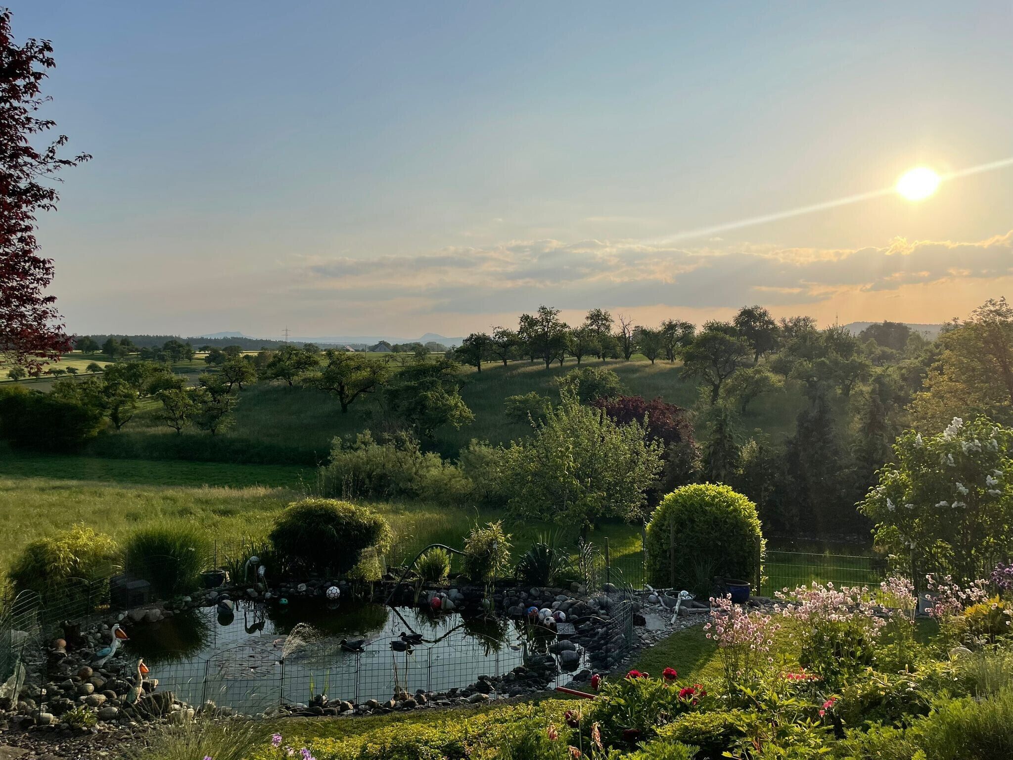 Et roligt landskab med en sø, frodig vegetation og en klar himmel.