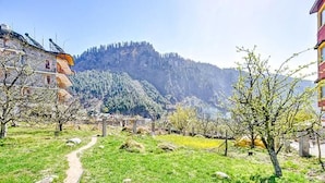 A rural setting with a path leading through a green field, surrounded by trees and a mountain in the background.