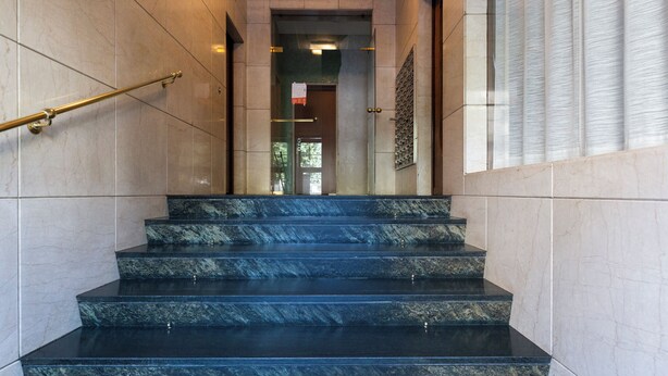 Un escalier en marbre, doté d’une rampe, mène à une porte avec un panneau de verre.