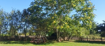 Gîte Chez Chenon