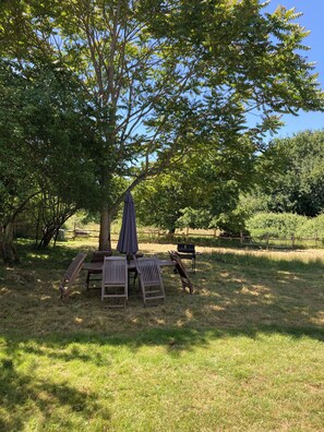 Property grounds - Gîte Chez Chenon (Saint-Sulpice-de-Ruffec)