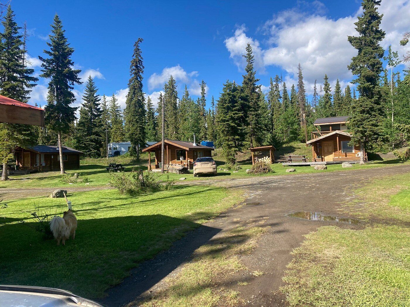 A campground with several wooden cabins, a picnic table, and a dog.