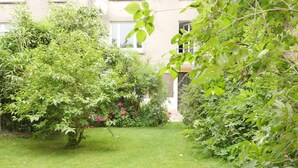 Un jardin luxuriant, avec une variété de plantes vertes et une pelouse bien entretenue.