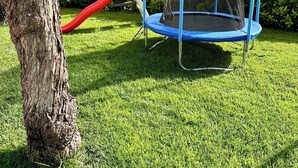 Een trampoline met veiligheidsnet, op een gazon met een boom en struiken op de achtergrond.