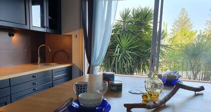 les cĂŽteaux de Miomo