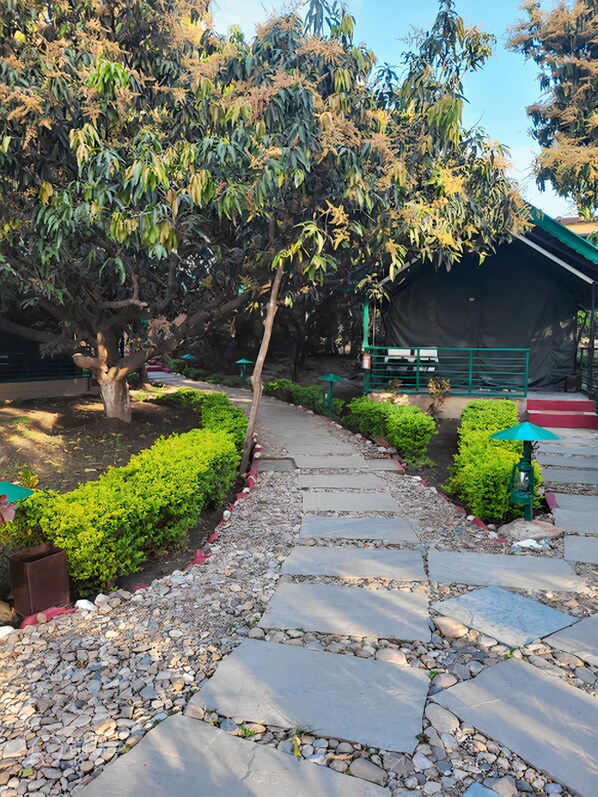 Un sendero de piedra conduce a una zona cubierta con un banco y una sombrilla verde.