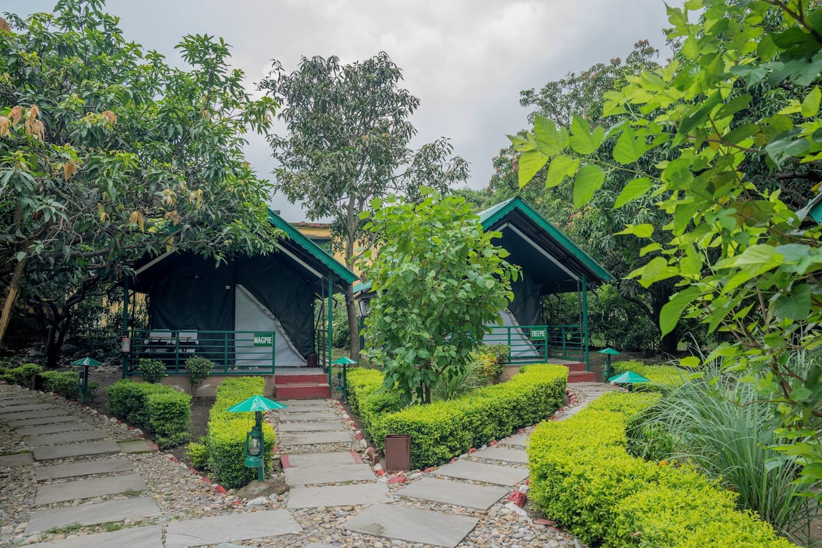 Classic Tent | Terrace/patio