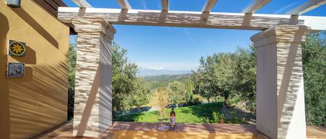 Deluxe Room, Vineyard View | Terrace/patio