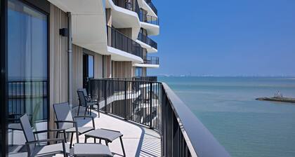 Pharos Starfish Panorama