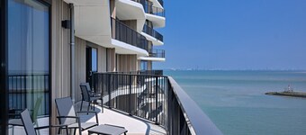 Pharos Starfish Panorama