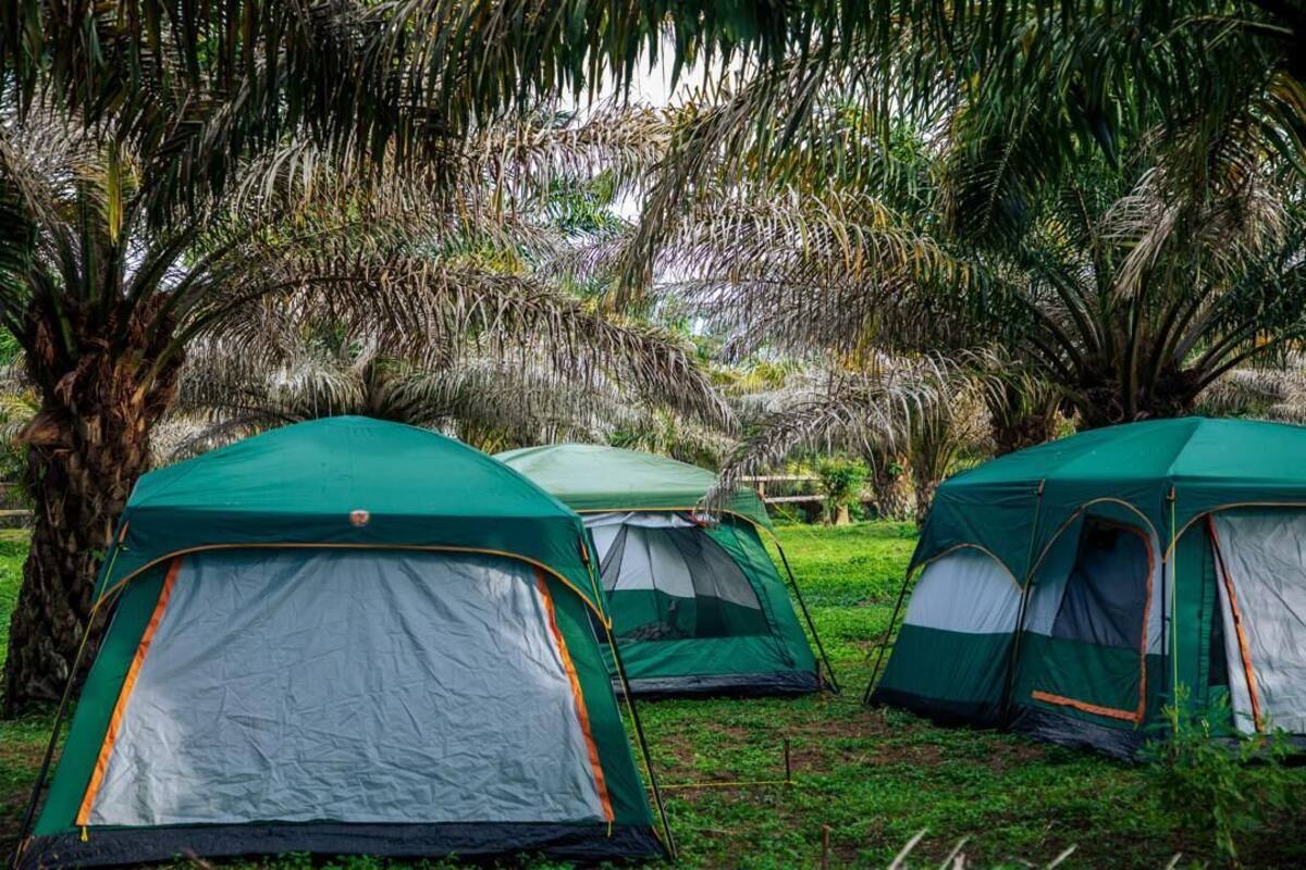 基本帳棚, 湖景 | 書桌、筆電工作空間、免費無線上網