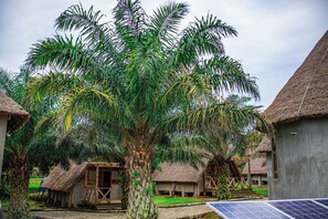 Property amenity - Bugoma sand beach resort hotel (Bugala Island)