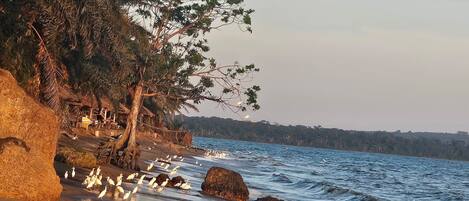On the beach, beach bar