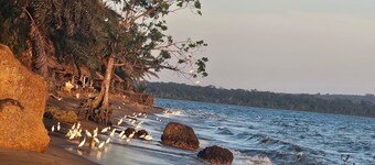 Bugoma sand beach resort hotel