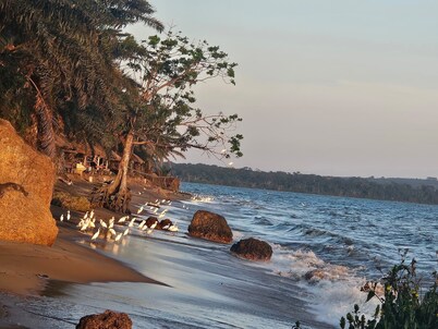 Bugoma sand beach resort hotel