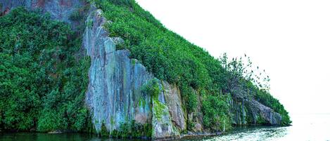 A coastal cliff with dense greenery and a calm sea.
