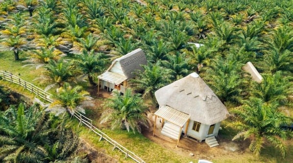 Exterior - Bugoma sand beach resort hotel (Bugala Island)