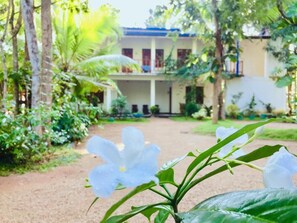 Exterior - Sigiri Rainbow Lodge (Sigiriya)