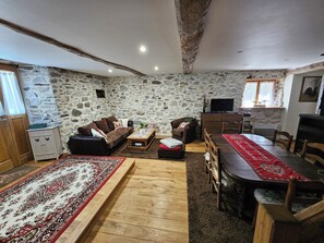 TV, fireplace, books