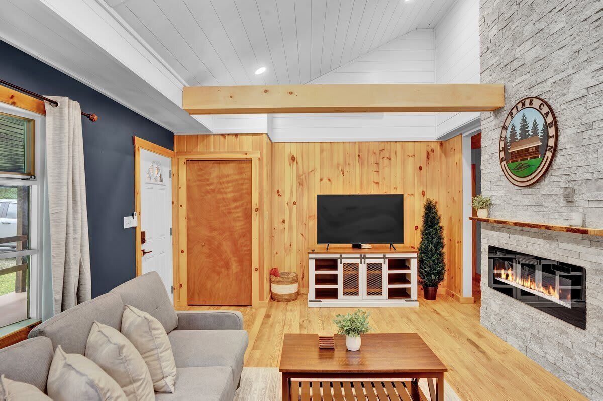 Una televisión, una chimenea