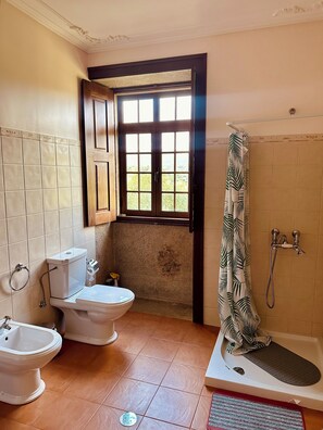 A bathroom with a toilet, bidet, and shower. - Casa de Campo Ideal Para Quem Procura Relaxar no Meio da Natureza! (Freixieiro de Soutelo)