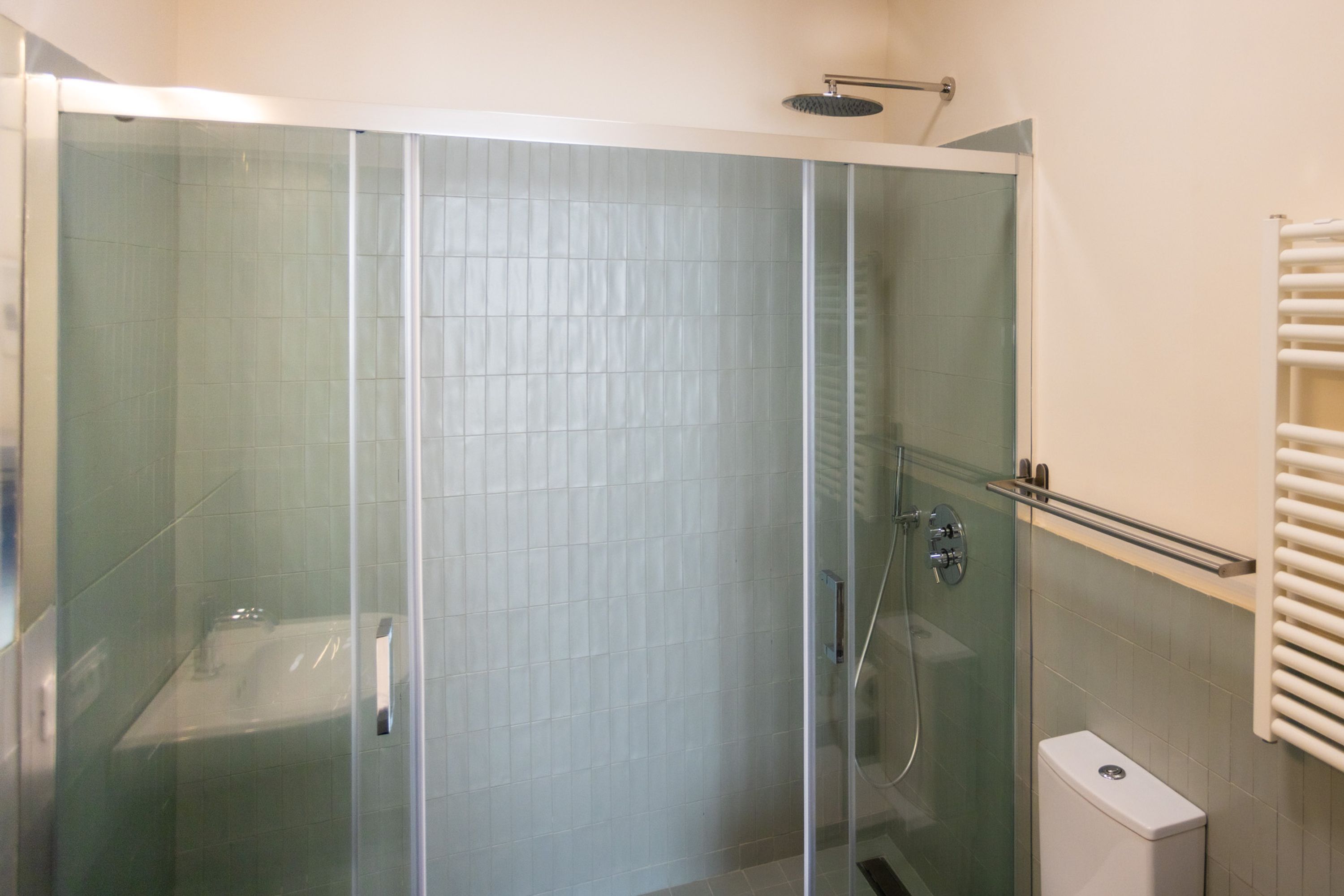 A glass-enclosed shower with a white tiled wall, a glass door, and a white toilet.