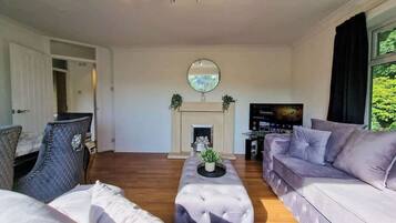 Fernseher, Arbeitsbereiche