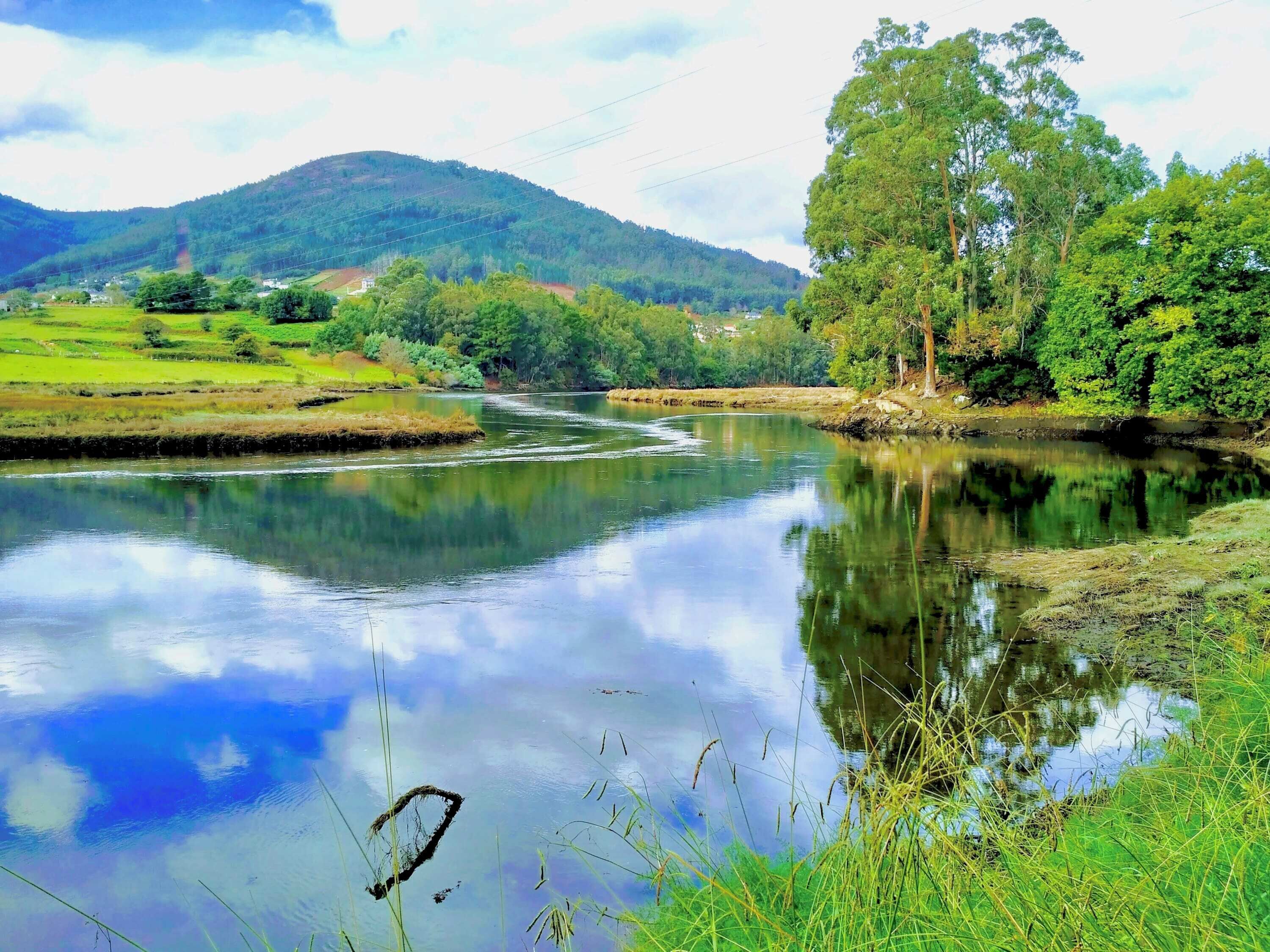 5 slaapkamers, een bureau, een strijkplank/strijkijzer, wifi