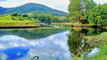 5 slaapkamers, een bureau, een strijkplank/strijkijzer, wifi
