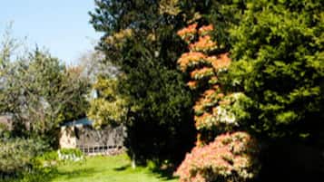 House | Property grounds