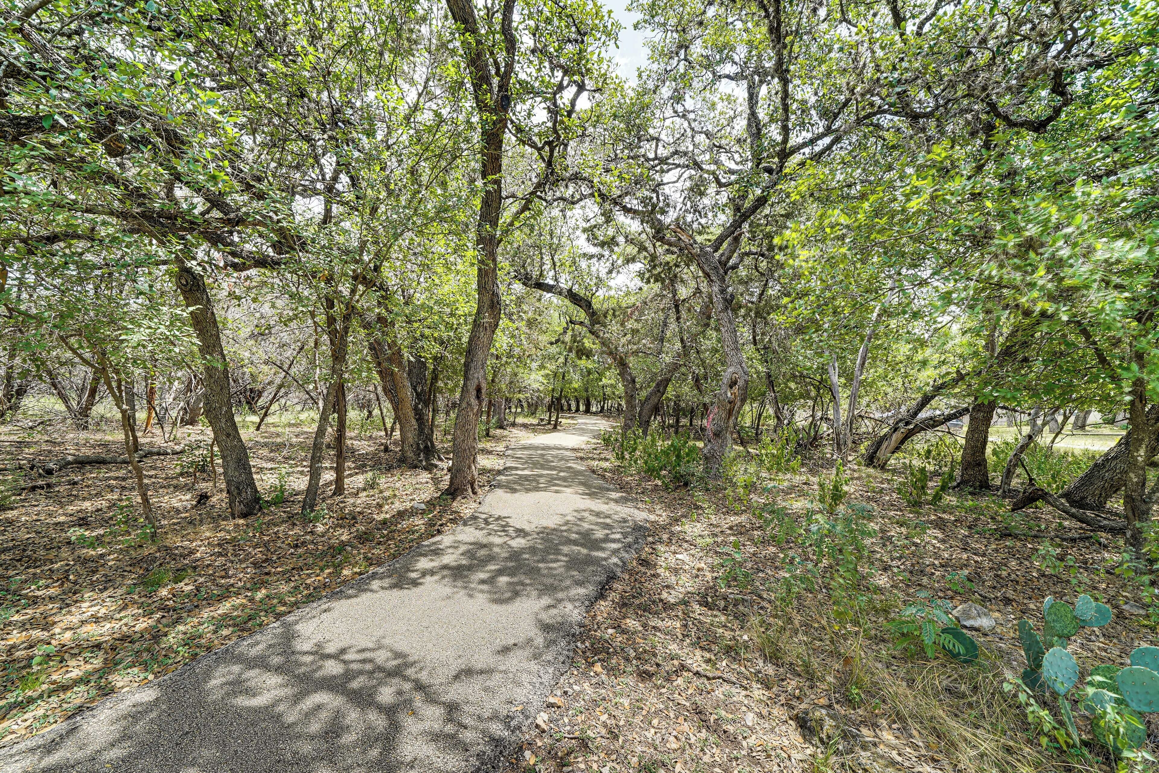 A paved path through a wooded area with trees on both sides.