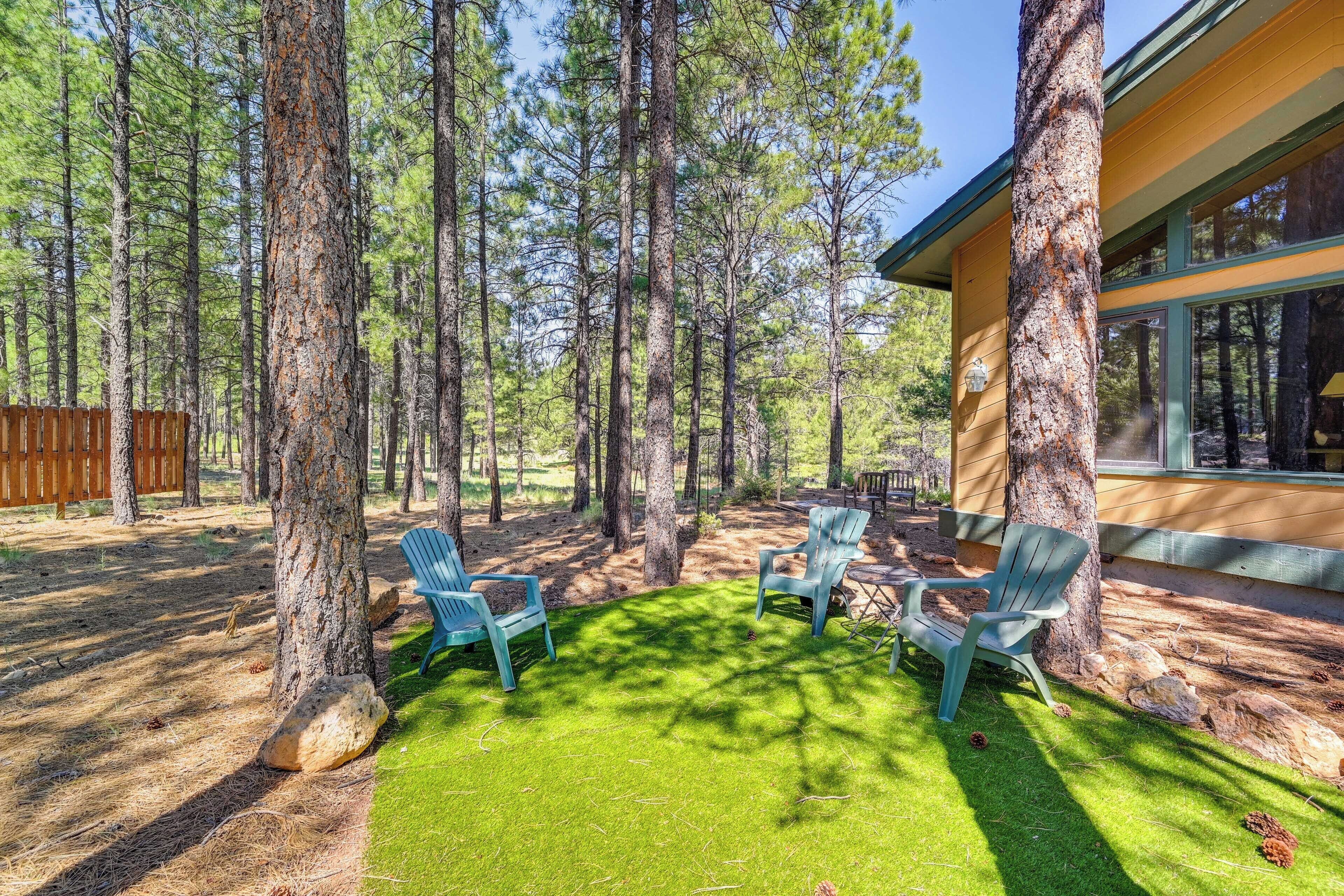 Una cabaña de madera con un césped verde y dos sillas Adirondack.