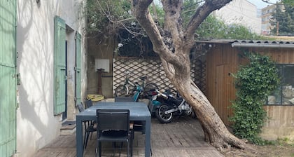 Maison avec terrasse et jardinet ombragés à 10mn à pied du centre historique.