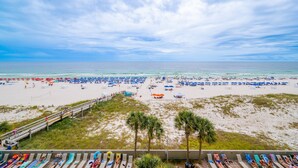 A beach with rows of beach chairs and umbrellas, a wooden walkway, and palm trees.
