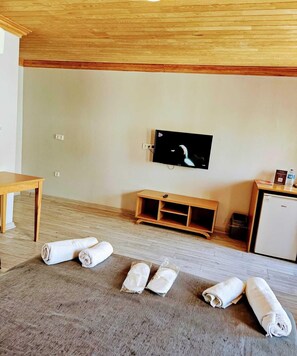 A room with a wooden ceiling, a flat-screen TV mounted on the wall, a wooden cabinet, a small refrigerator, and a carpeted floor with rolled towels.