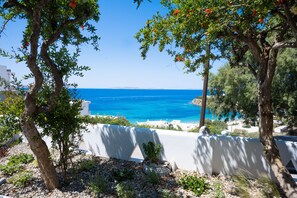 Une vue sur la côte, avec une mer bleue et limpide, des bâtiments blancs et des arbres aux fleurs rouges.