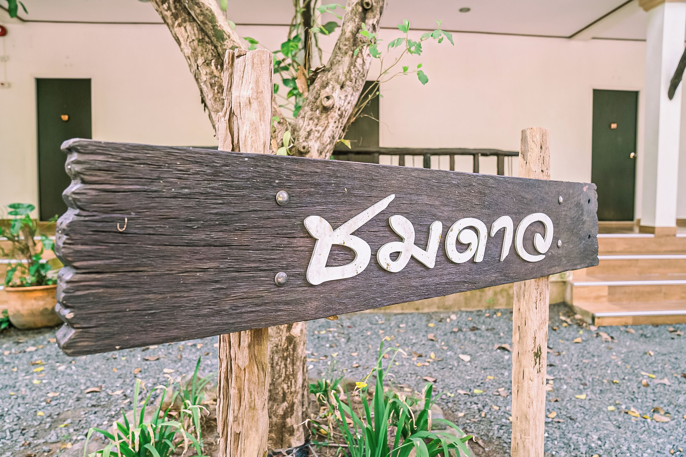 高级双人房或双床房 | 床单