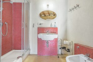 Shower, hair dryer, bidet, towels