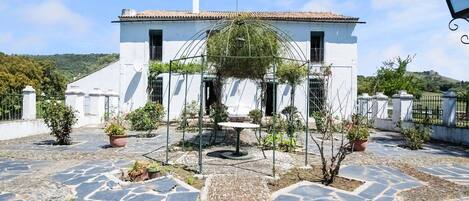 A white building with a tiled roof, a stone patio, and a garden area with potted plants.
