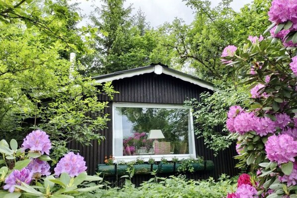 Property grounds - Holiday Home Fairytale hut (Biedenkopf)