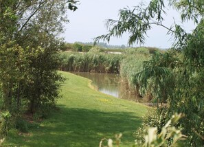 House | View from property - Lodge Near Brouwersdam & North Sea Beach (Scharendijke)