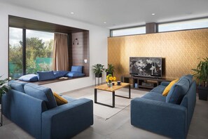 TV, caminetto, impianto stereo