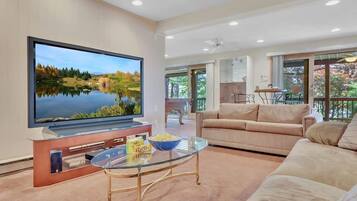 TV, fireplace, offices
