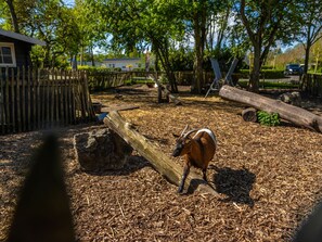 Chalet | Property amenity