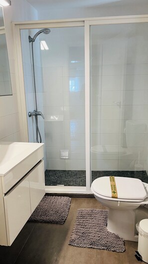 Hair dryer, towels, soap, toilet paper - Apartamento Acolhedor no Centro Historico. Localizacao Perfeita! (Viseu , São Pedro do Sul)