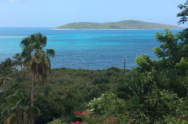 View from property - As Seen on HGTV " Turquoise Waters" Incredible Views Await You (Christiansted)
