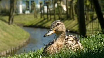 Rumah | Detail interior